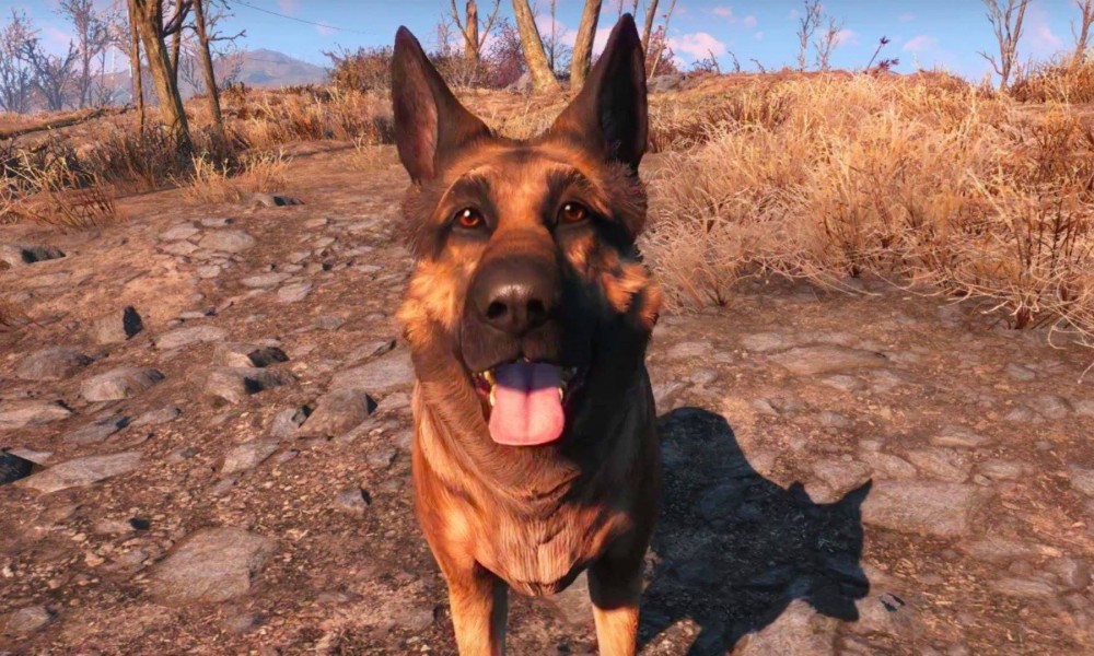 How do i get dogmeat in fallout 3